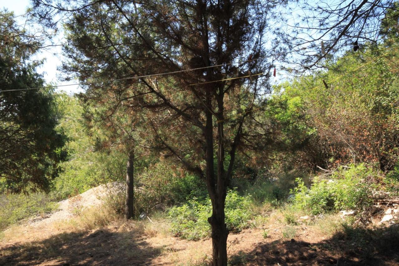 Secluded Fisherman'S Cottage Cove Ripisce, Dugi Otok - 394 Brbinj Ngoại thất bức ảnh